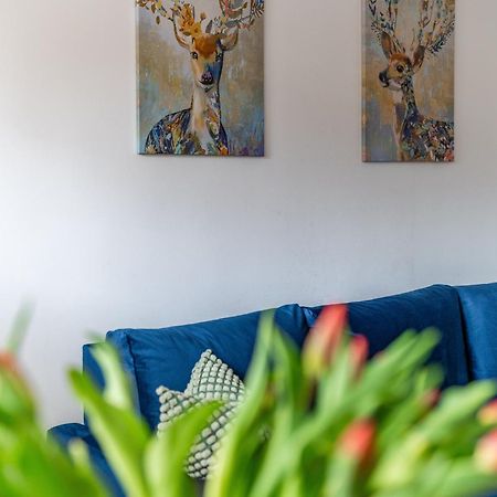 Apartament Lisowski Centrum Zakopane Eksteriør bilde